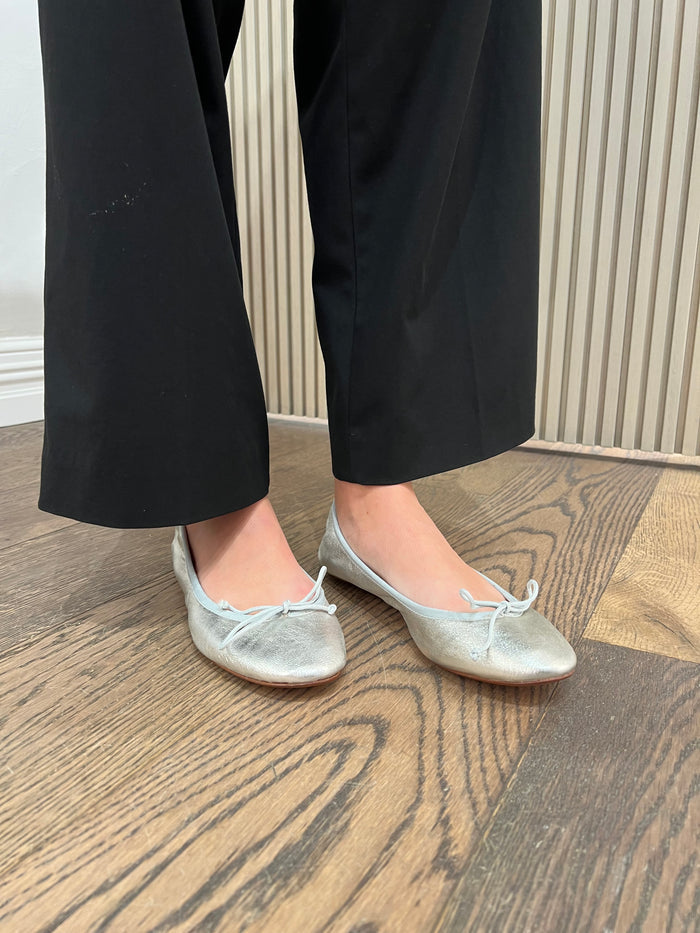 Foldable Travel Ballet, Silver