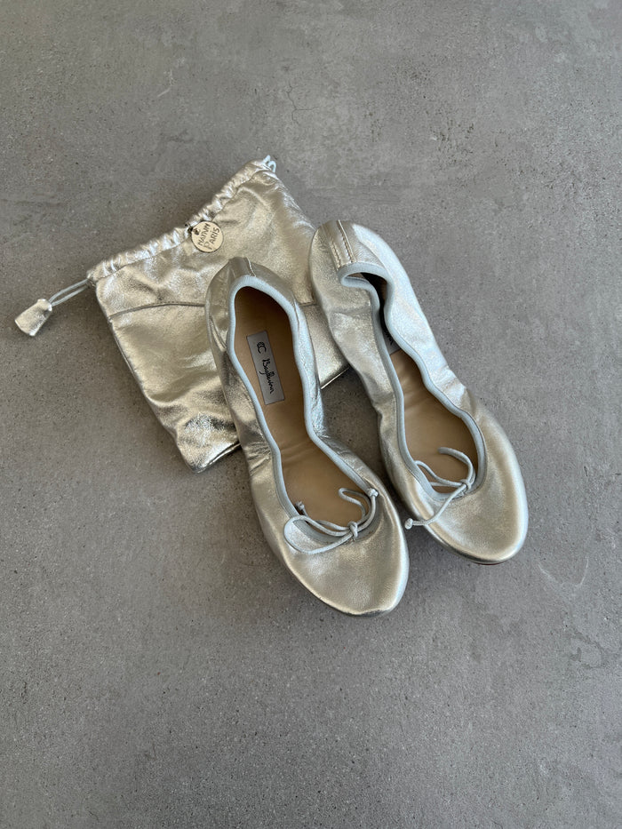 Foldable Travel Ballet, Silver