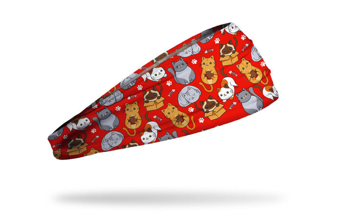 Kitty Cats Big Bang Lite Headband - View 2